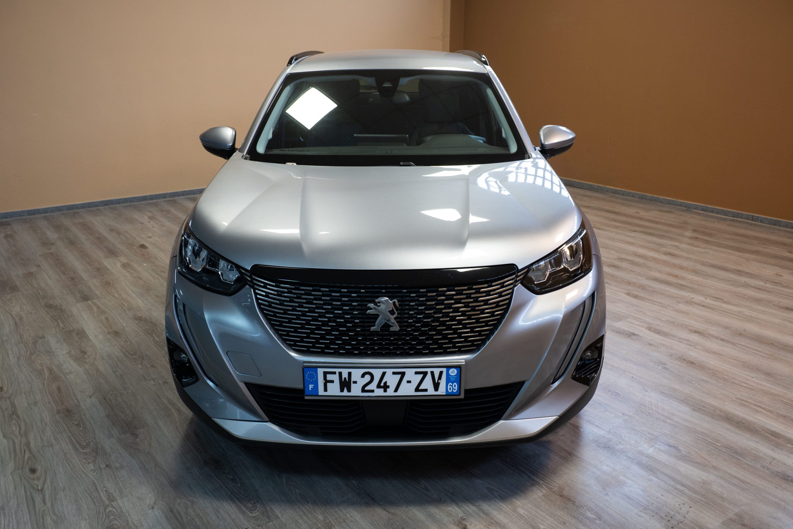 
								Peugeot 2008 lleno									