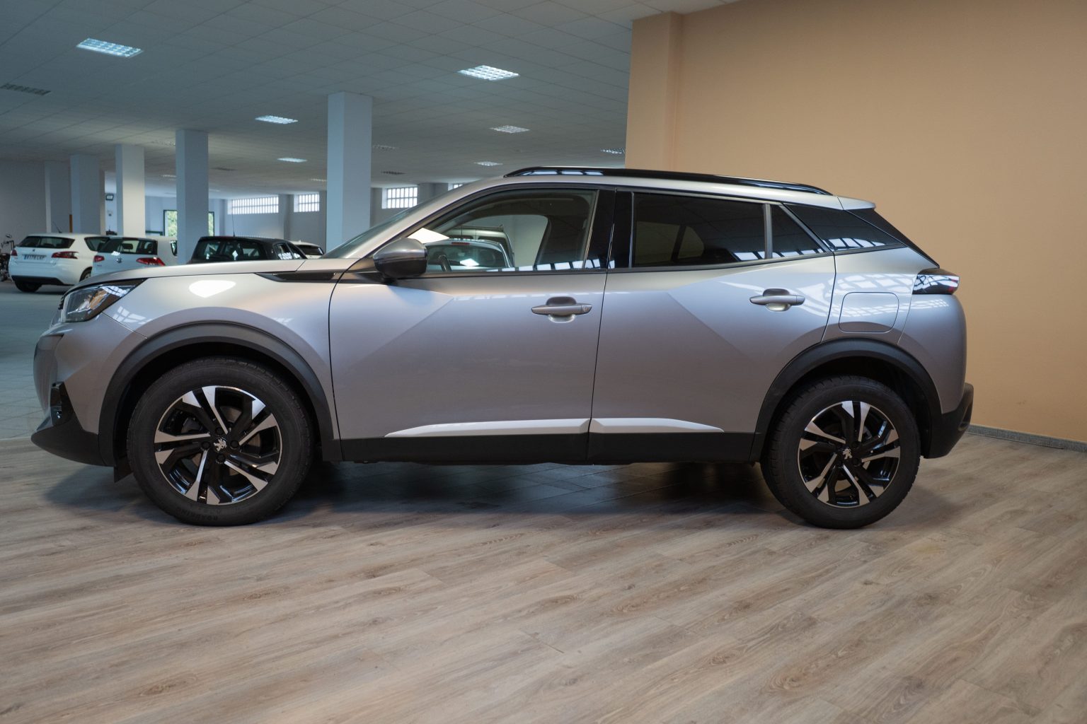 Peugeot 2008 (8)