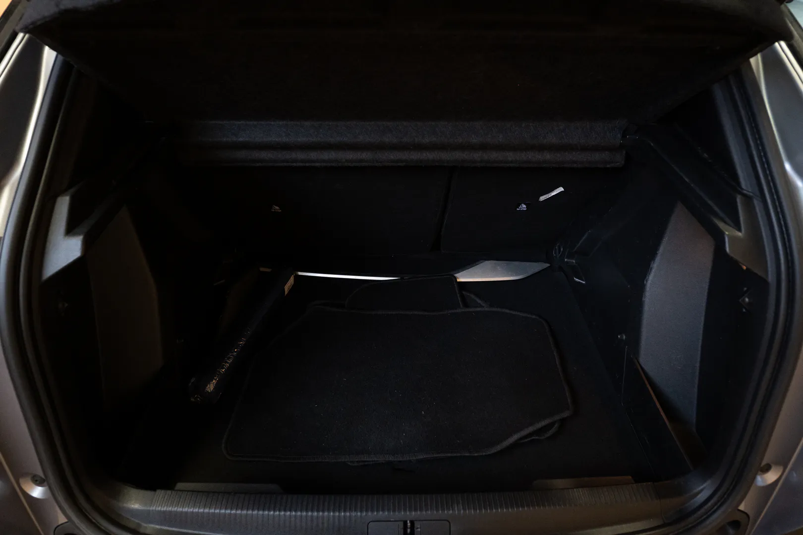 
								Peugeot 2008 lleno									