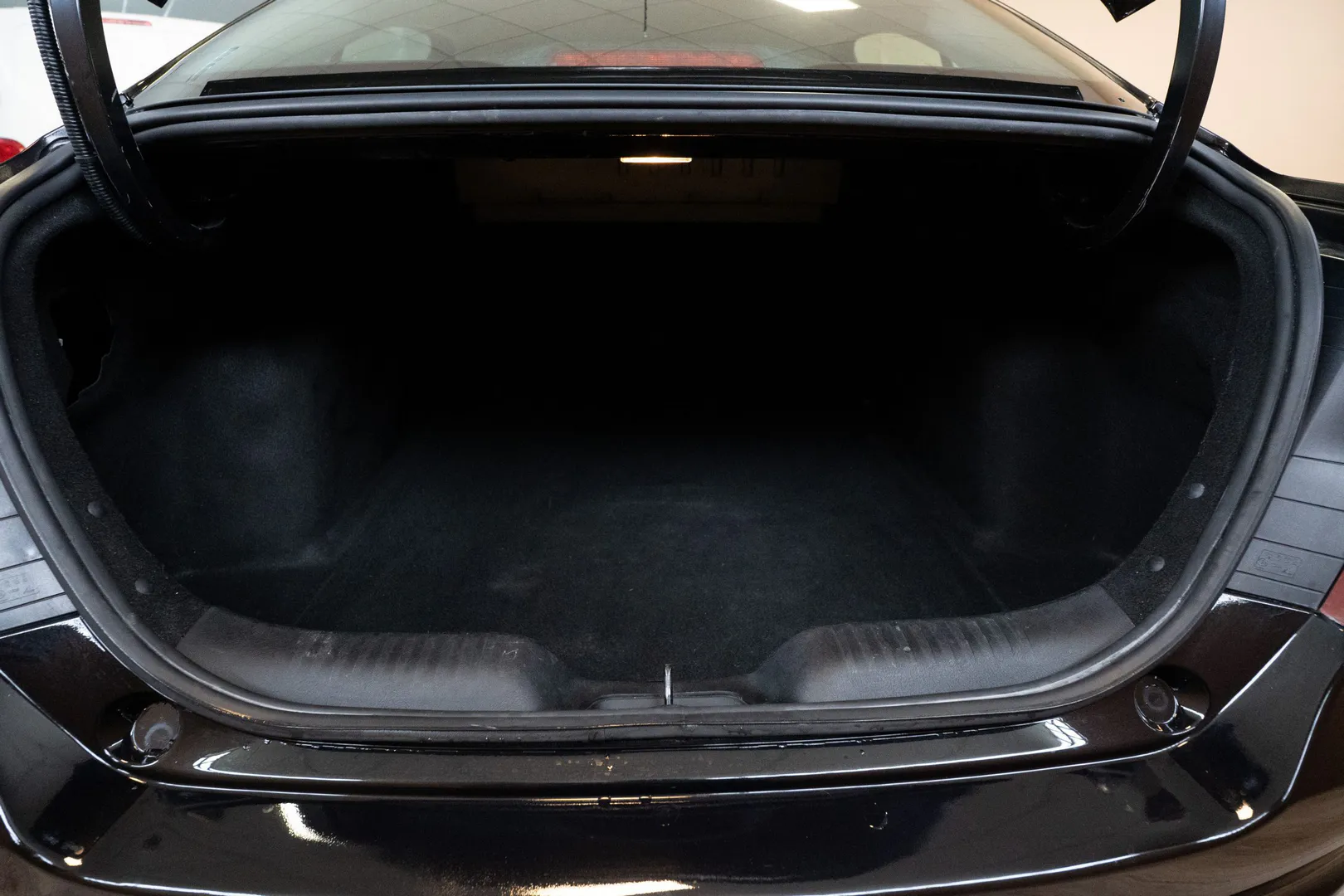 
								Fiat Tipo lleno									